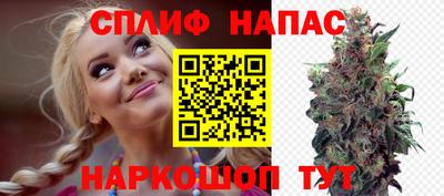 сатива Заводоуковск