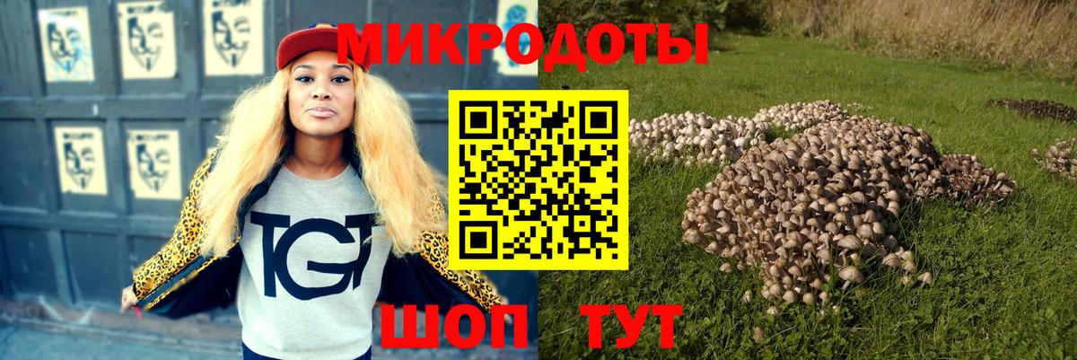 Псилоцибиновые грибы Psilocybine cubensis  Вход с VPN  Фрязино 