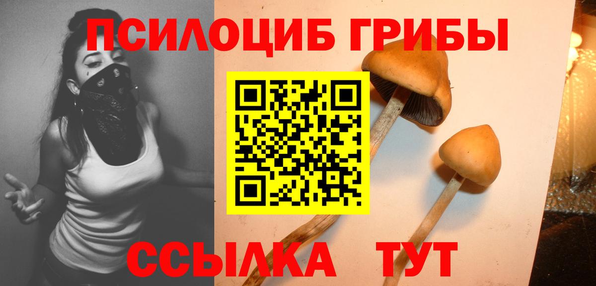 Псилоцибиновые грибы Magic Shrooms Фрязино