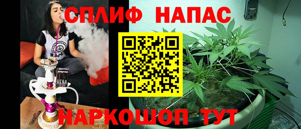 Шишки марихуана сатива  Вход с VPN  Фрязино  Бошки марихуана LSD WEED 
